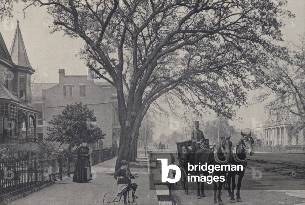 New Orleans: View on Jackson Avenue (b/w photo)
