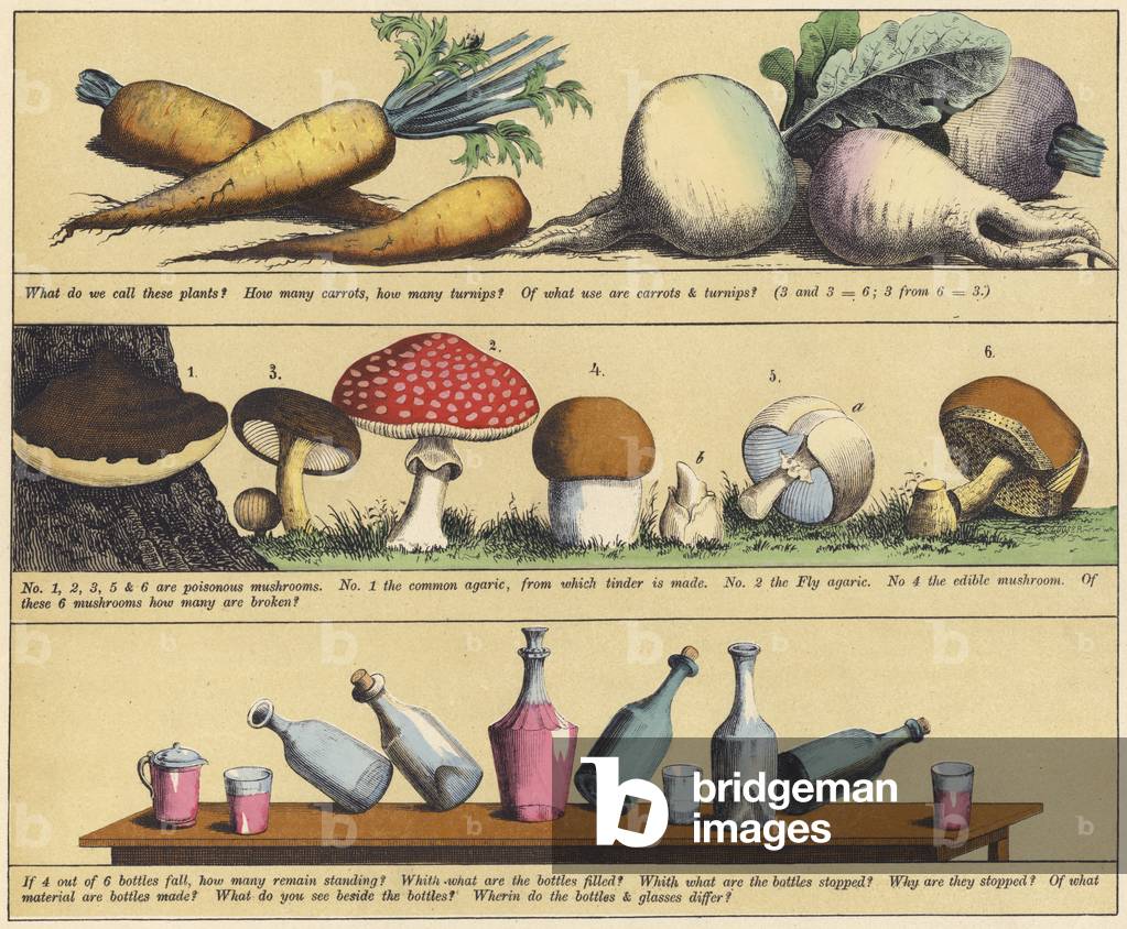 Page from The New Picture Book (colour litho)