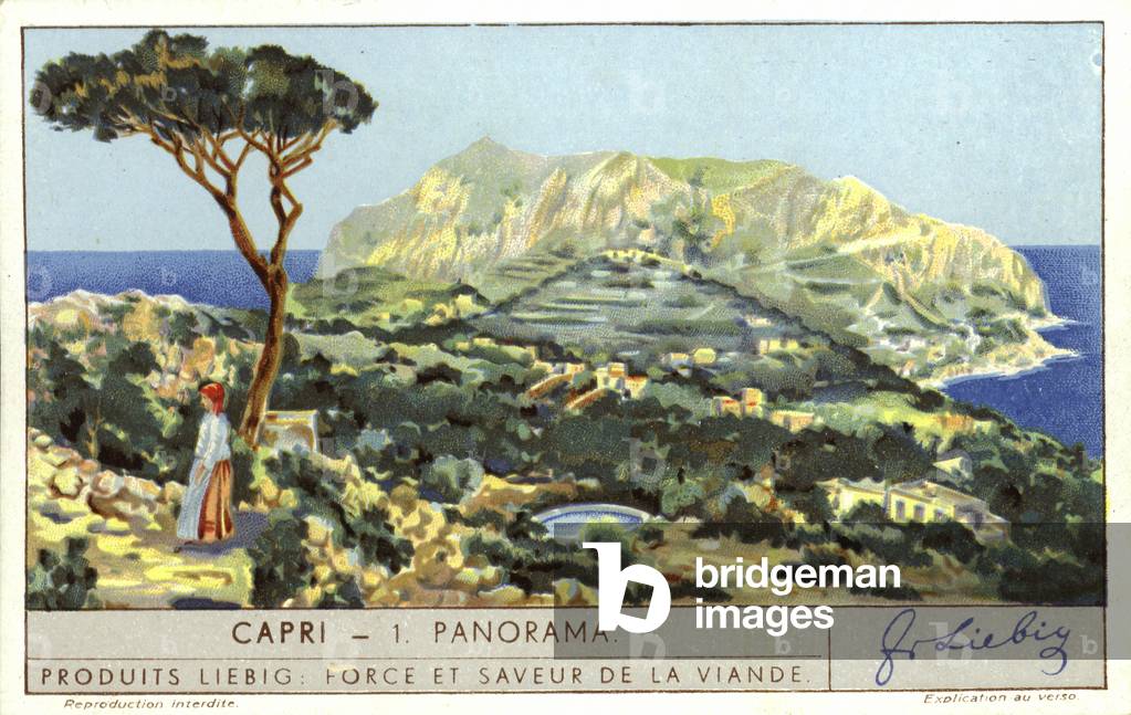 Panorama of Capri, Italy (chromolitho)