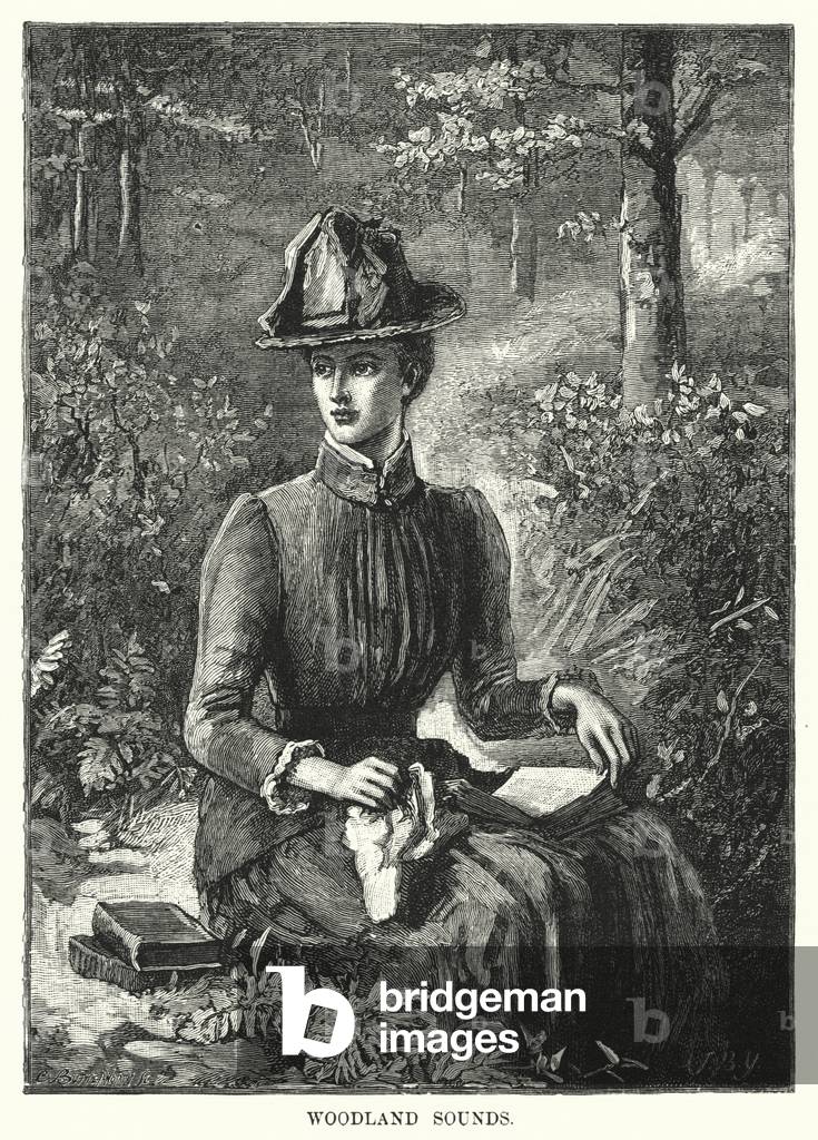 Woodland Sounds (engraving)