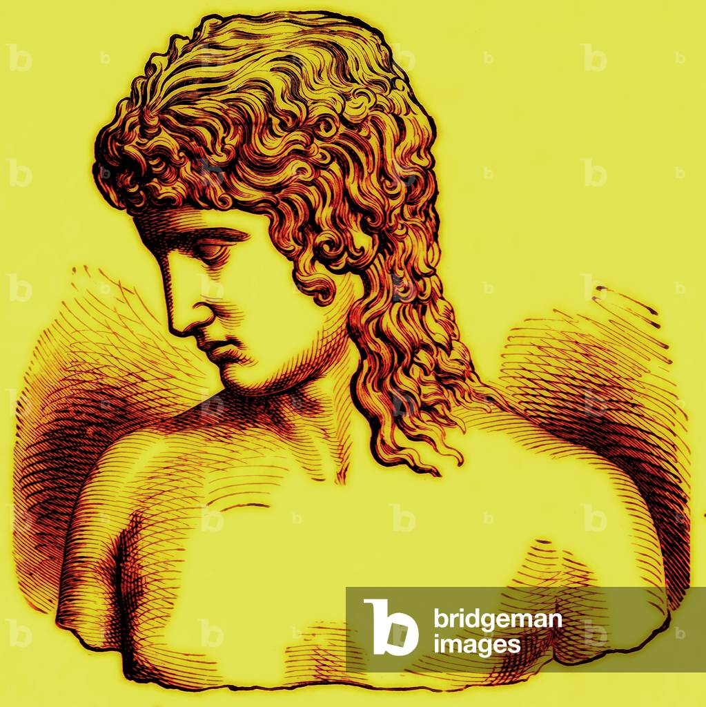 Immagine di Fotografia "Extreme of Ethnic Divergence - Highest Type - I: Eros of Praxiteles" di English School