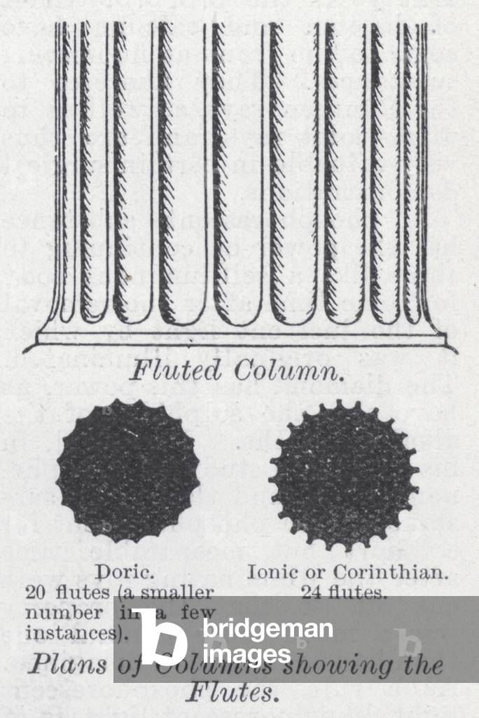 Plans of columns showing the flutes (litho)