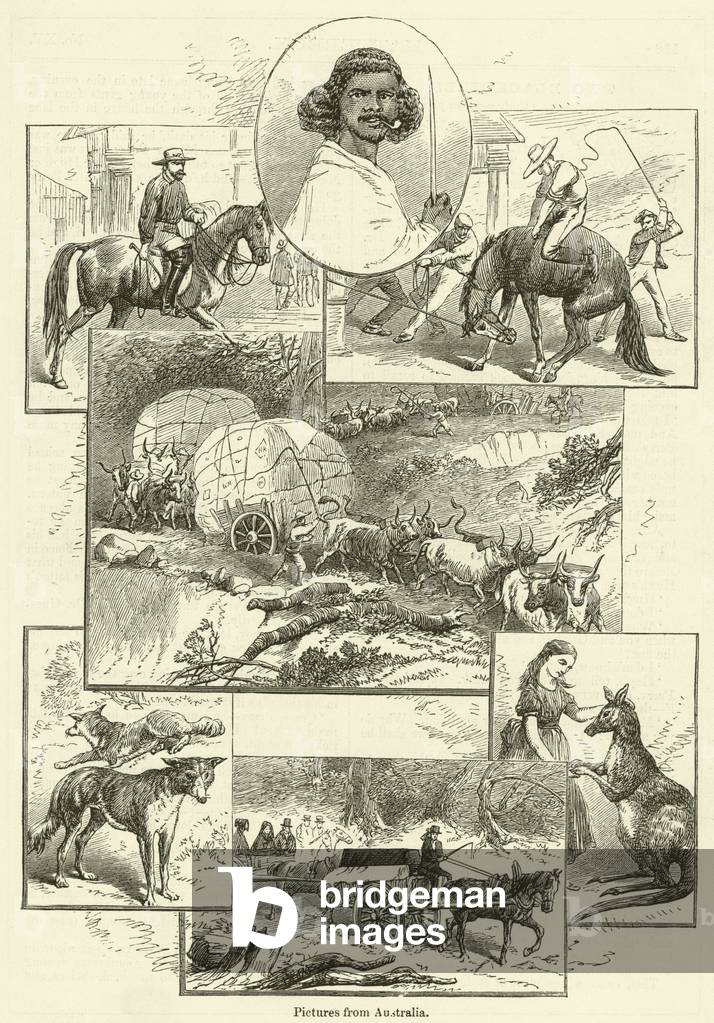 Pictures from Australia (engraving)