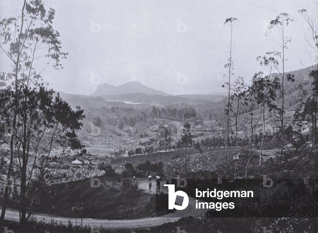 Nuwara Eliya and Surroundings from Oliphant, an Estate Cart Road (b/w photo)