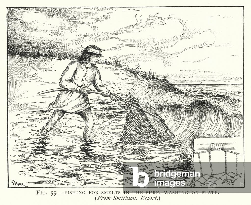 Fishing for smelts in the surf, Washington State (litho)