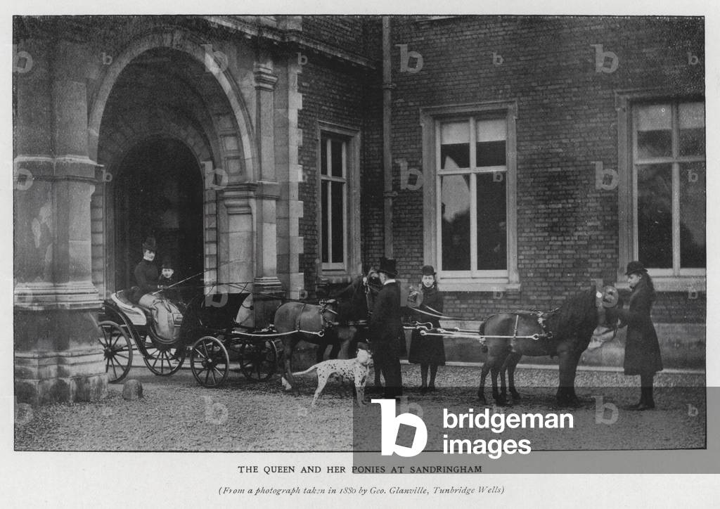 Queen Alexandra and her ponies at Sandringham House, 1880 (b/w photo)