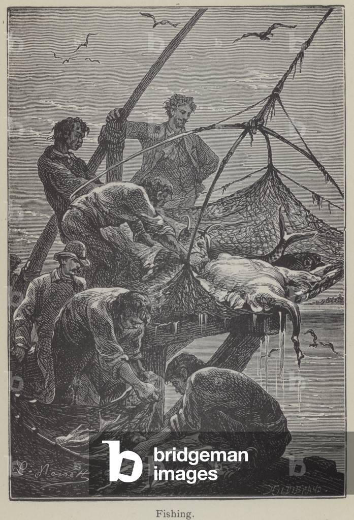 Illustration for Eight Hundred Leagues on the Amazon (litho)