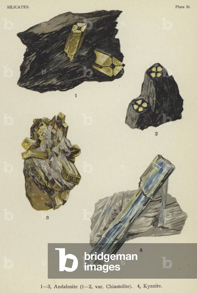 Silicates, andalusite (var chiastolite), kyanite (colour litho)