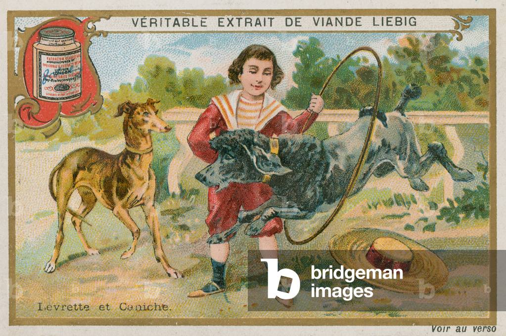 Greyhound and Poodle (chromolitho)