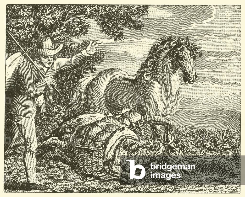 The horse and the loaded ass (engraving)