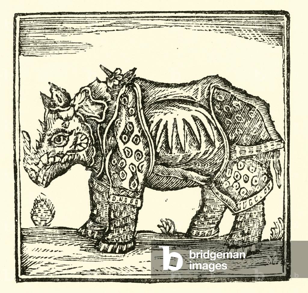 Rhinoceros from old print (engraving)