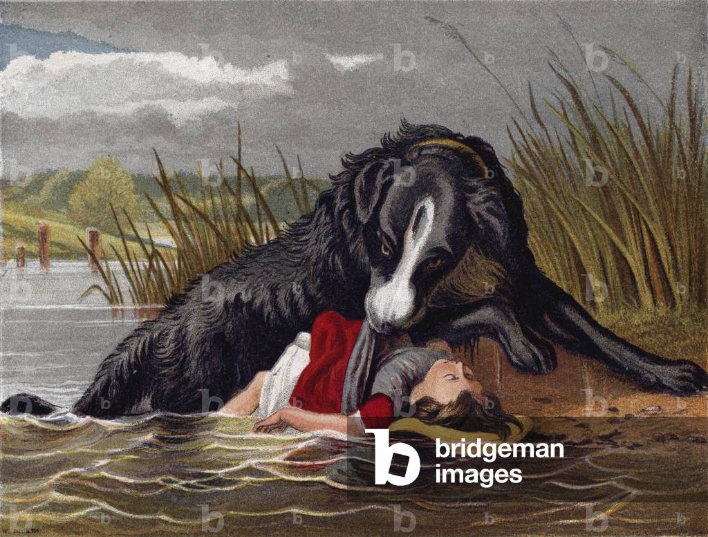 The Faithful Friend (colour litho)