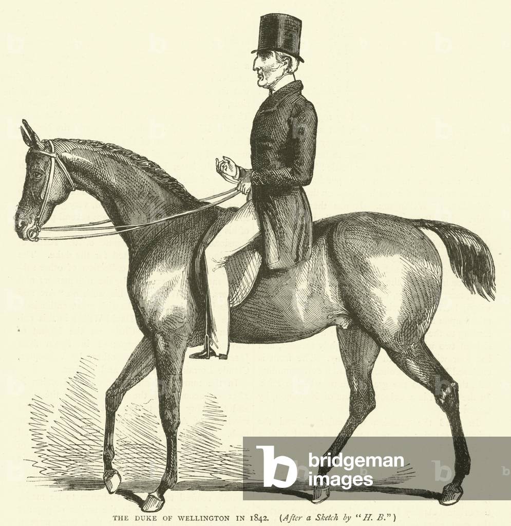 The Duke of Wellington in 1842, after a sketch by 