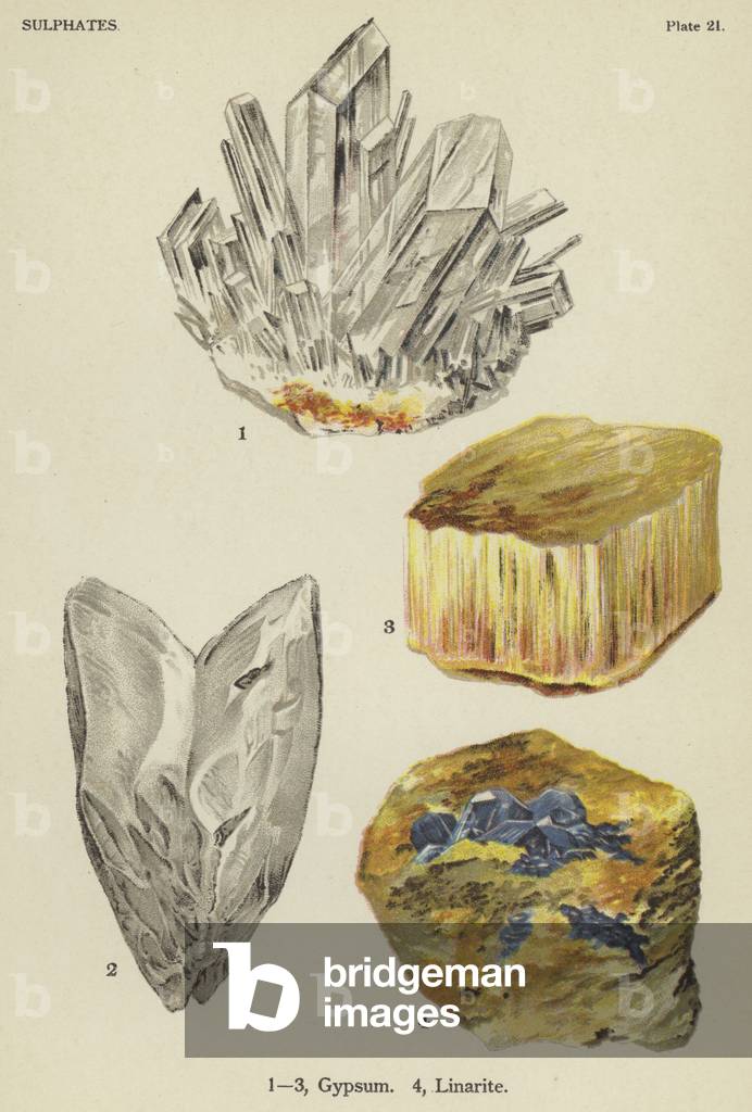 Sulphates, gypsum, linarite (colour litho)