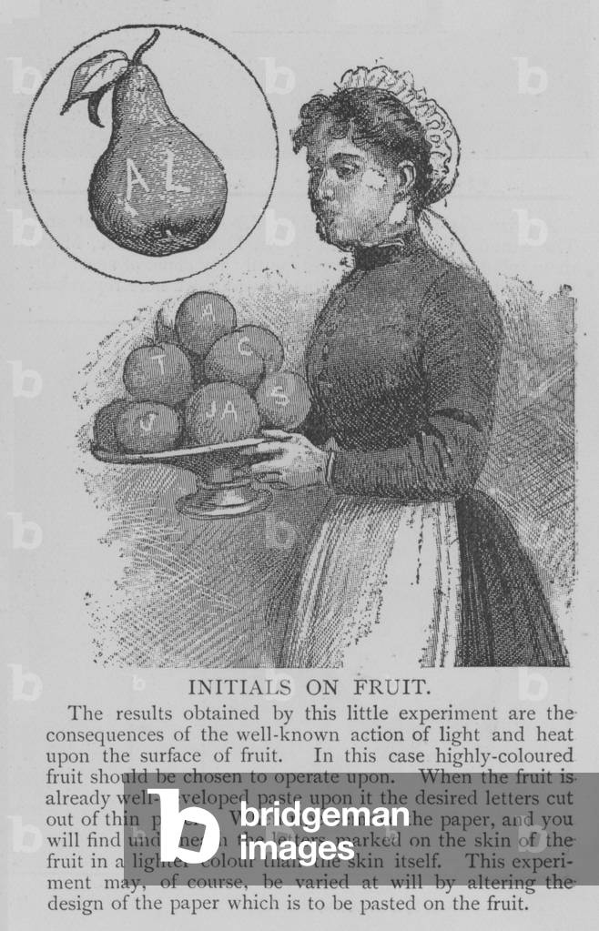 Initials on Fruit (engraving)