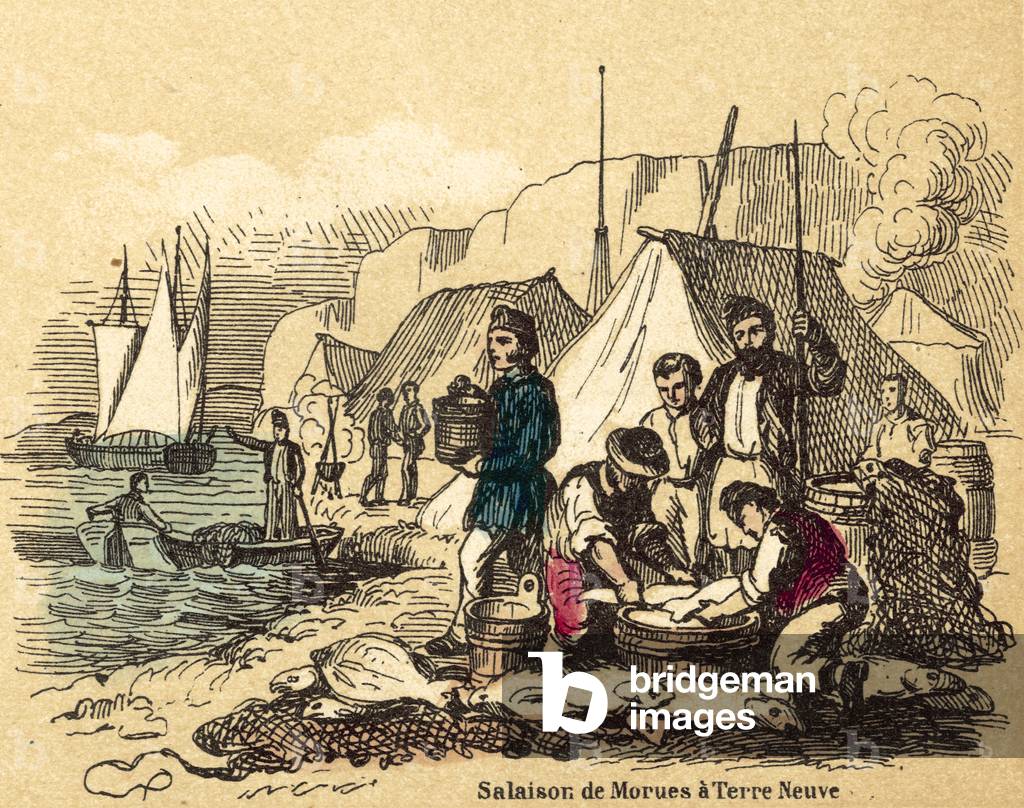 Salt (coloured engraving)