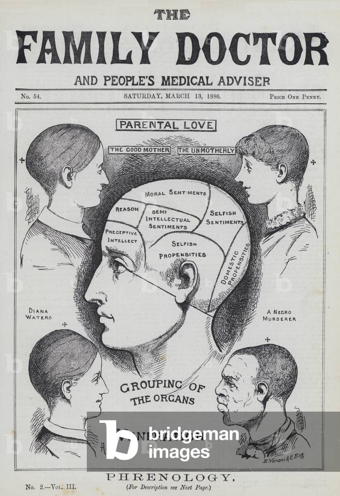 Phrenology (engraving)