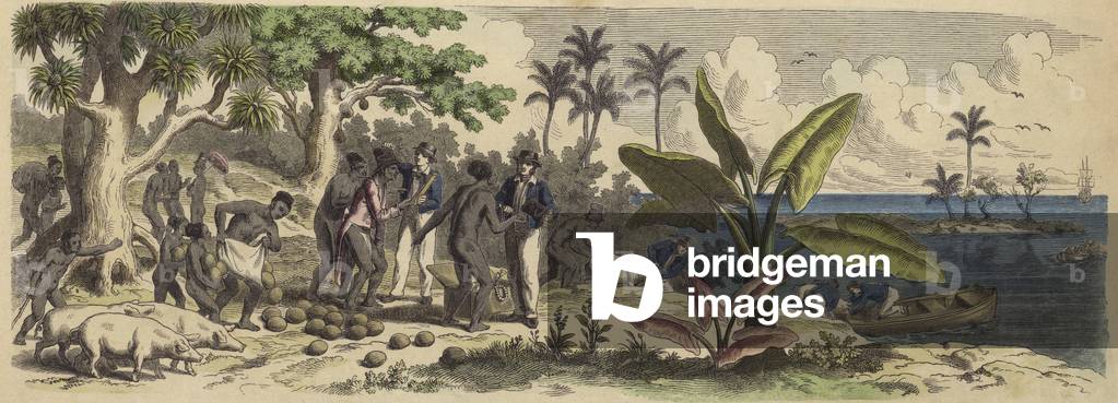 A Pacific island (coloured engraving)