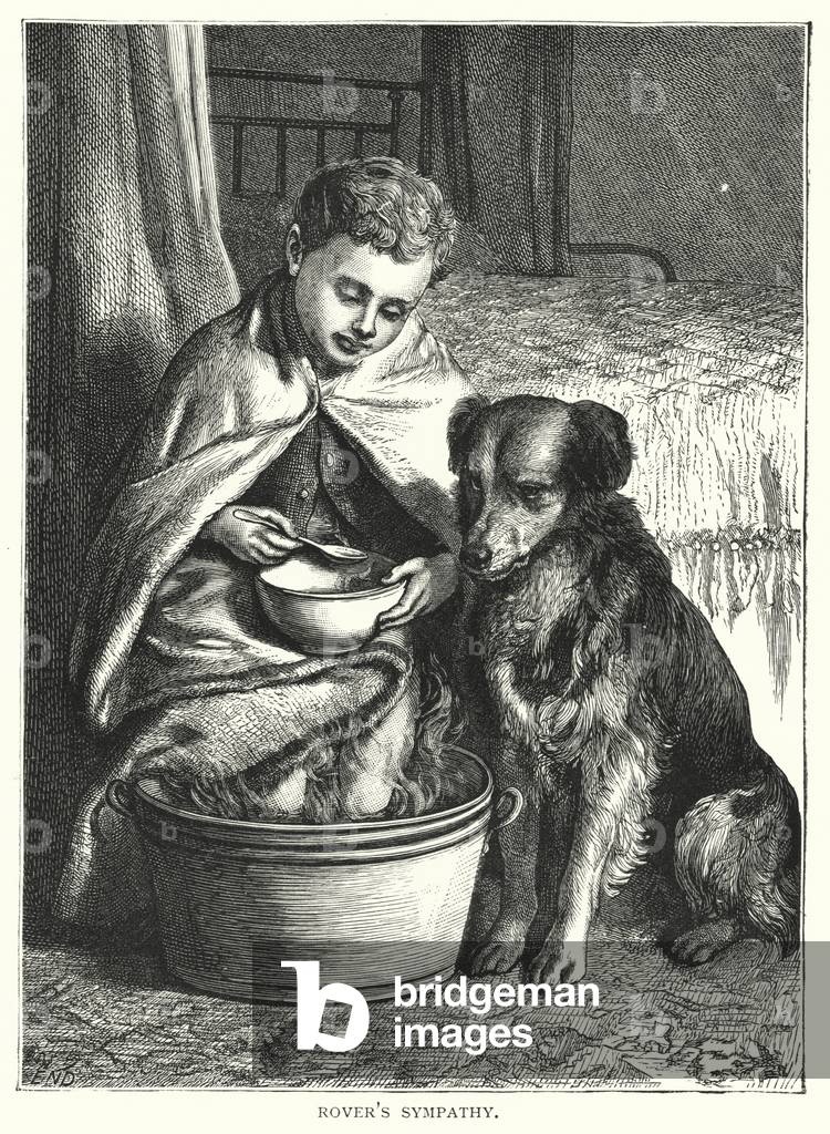 Rover's sympathy (engraving)