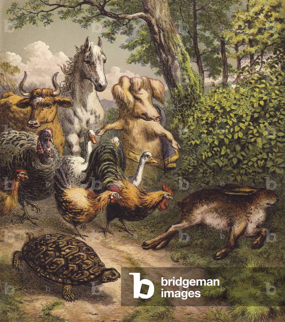 The Hare And The Tortoise (colour litho)