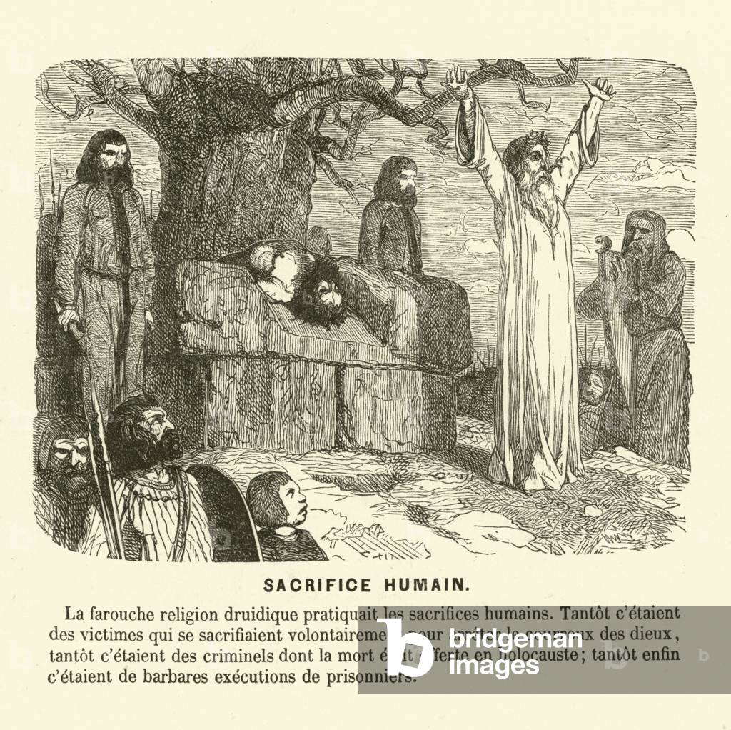 Human sacrifice of the druids (engraving)