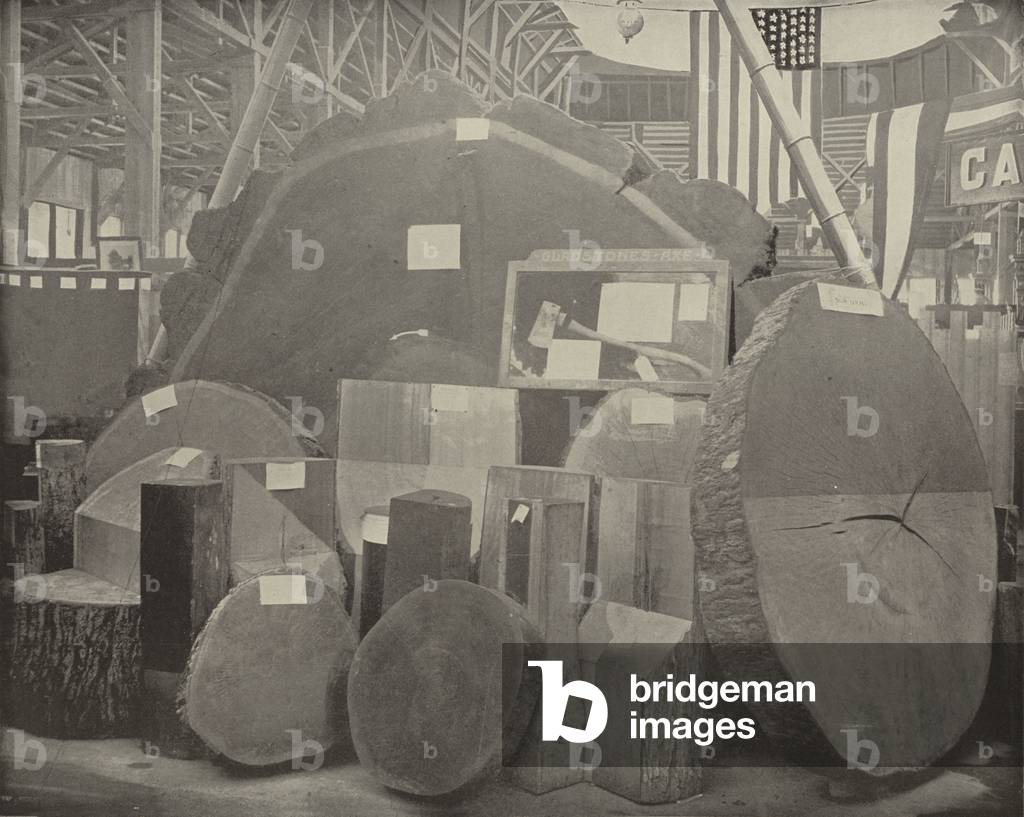 Gladstone's Ax (b/w photo)