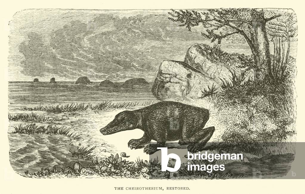 The Cheirotherium, restored (engraving)