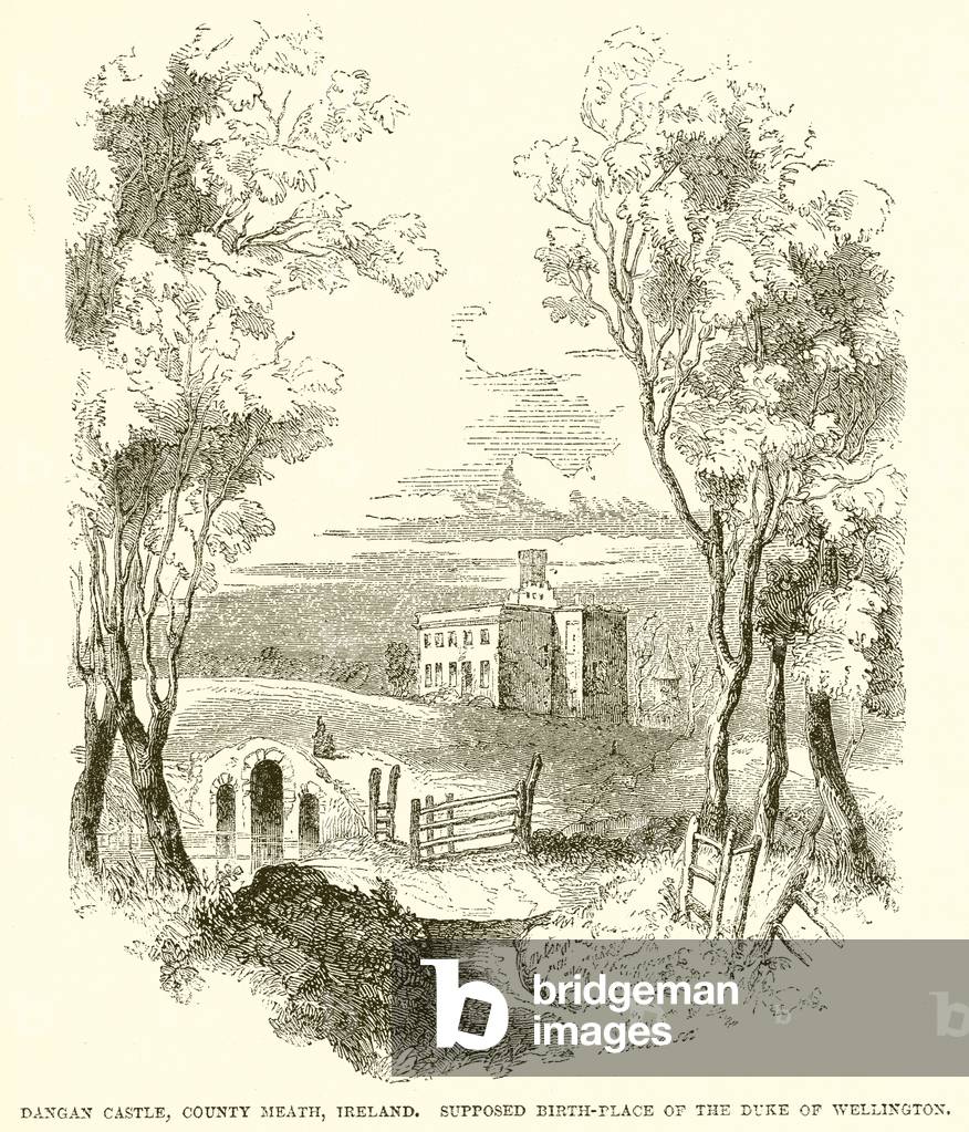 Dangan Castle, Country Meath, Ireland. Supposed Birth-Place of the Duke of Wellington (engraving)