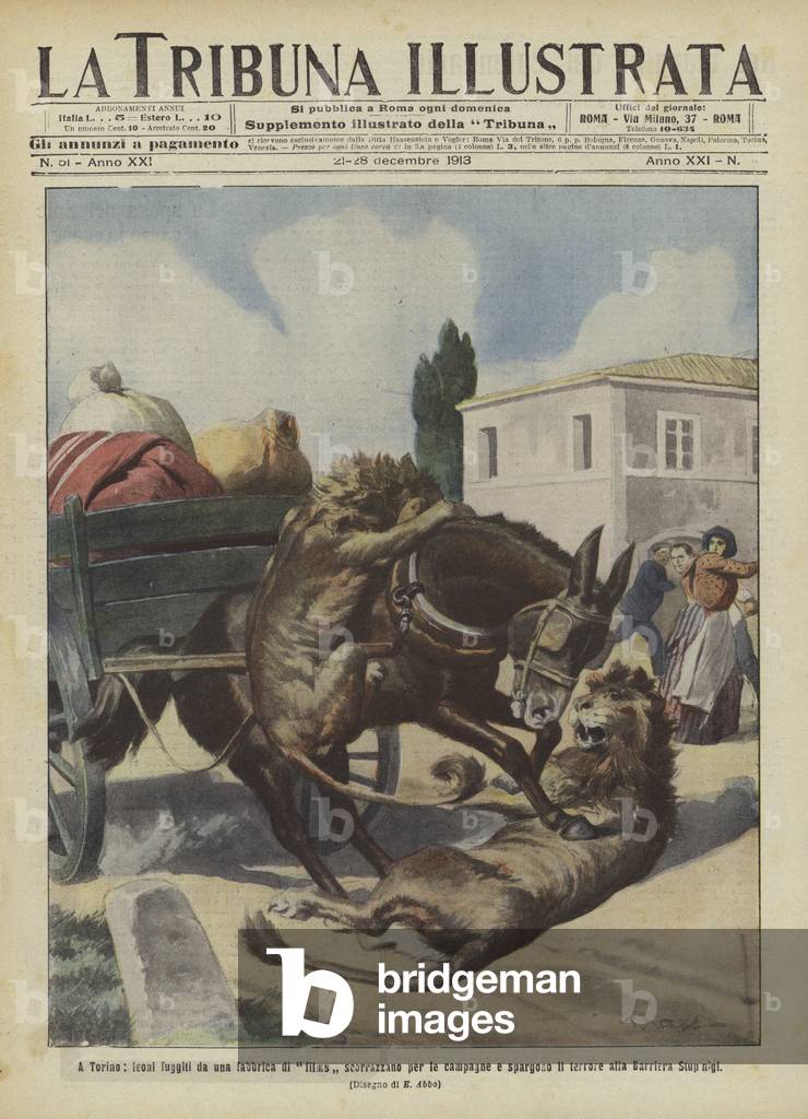 Lions terrorising the countryside after escaping from a film studio in Turin (colour litho)