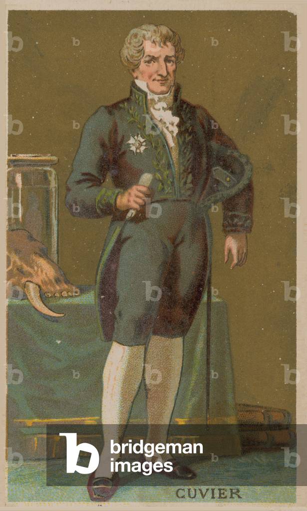 Georges Cuvier, French naturalist and zoologist (1769-1832) (chromolitho)