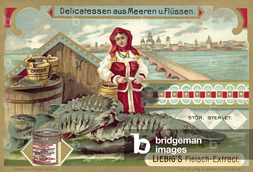 Sturgeon (chromolitho)
