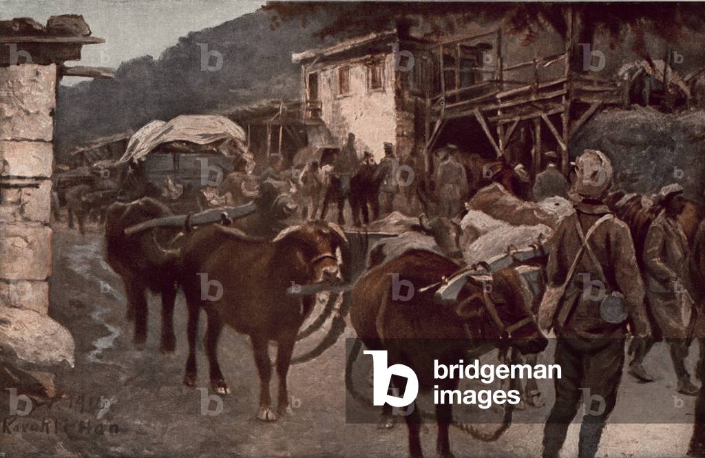 Turkey in the World War (colour litho)