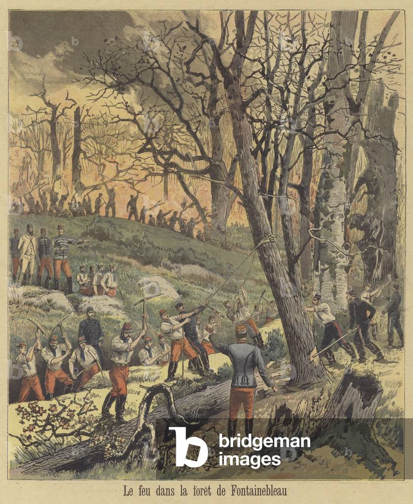 Fire in the Forest of Fontainebleau (colour litho)