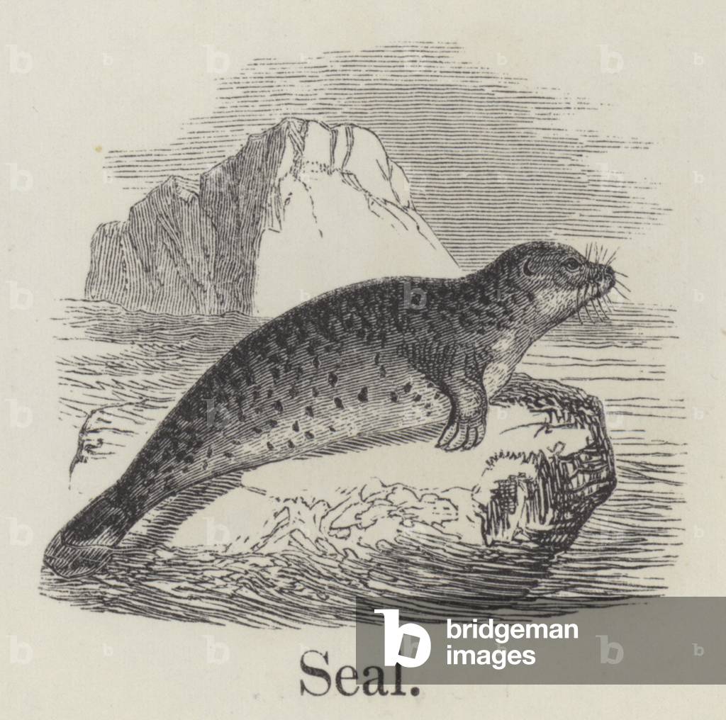 Seal (engraving)