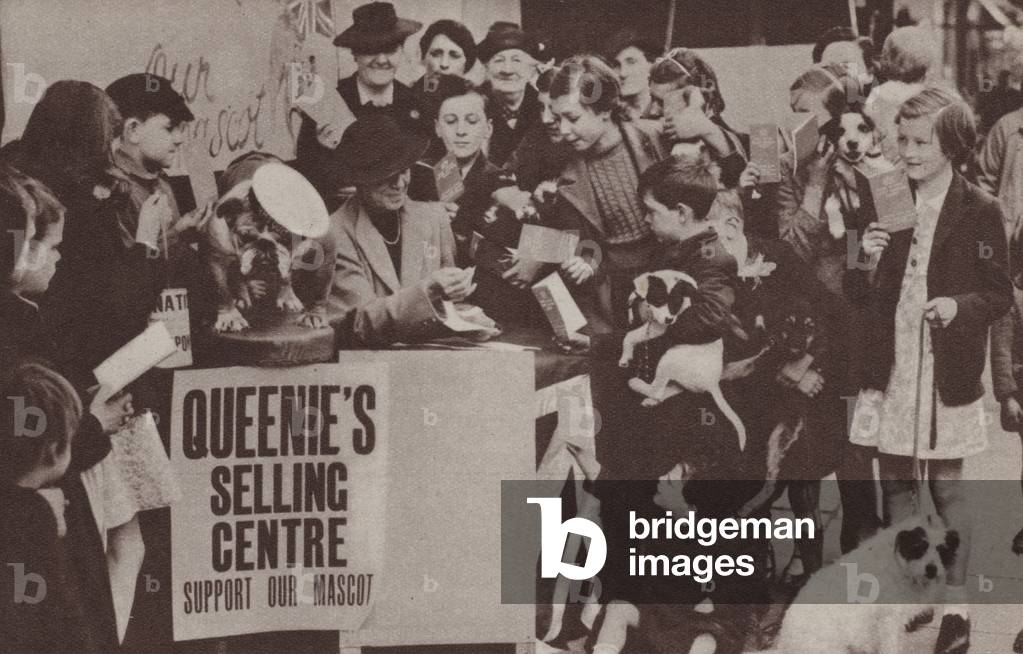 Dog show organised by children to raise monry for Britain's war effort, World War II (b/w photo)