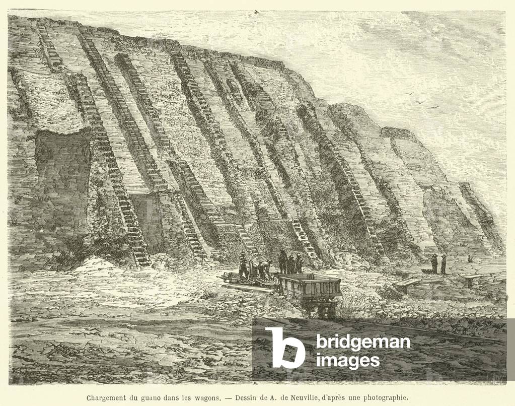 Chargement du guano dans les wagons (engraving)
