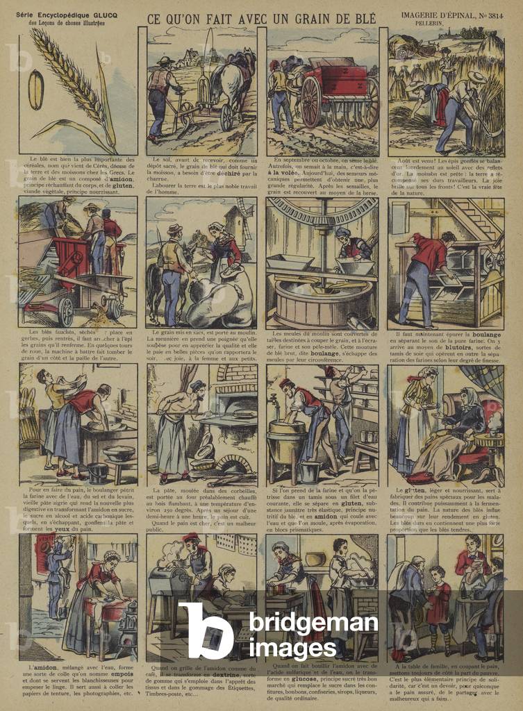 How a grain of wheat becomes a loaf of bread  (Epinal print)