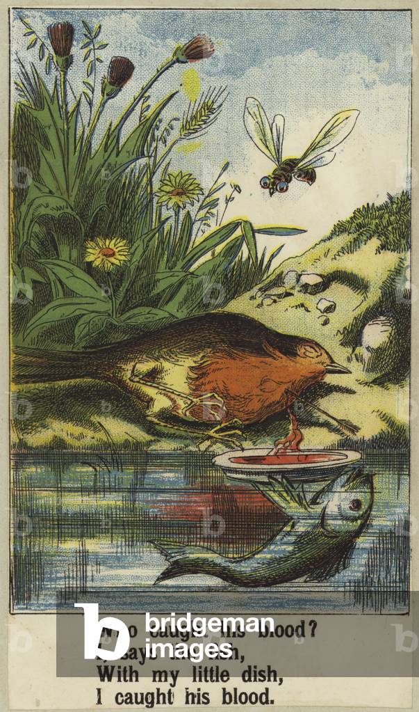 Cock Robin (colour litho)