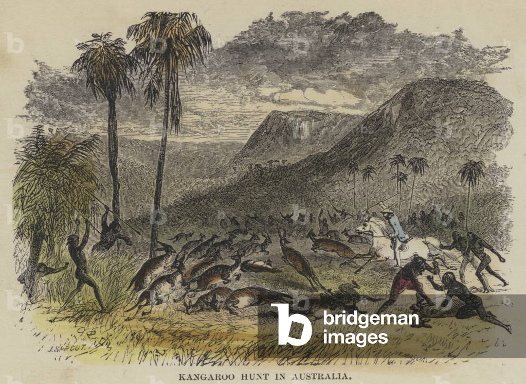 Kangaroo Hunt in Australia (coloured engraving)