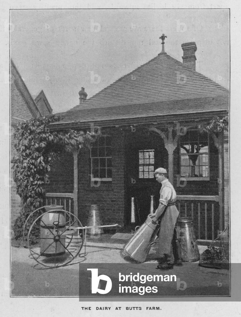 Whiteley's Farms: The dairy at Butts Farm (b/w photo)