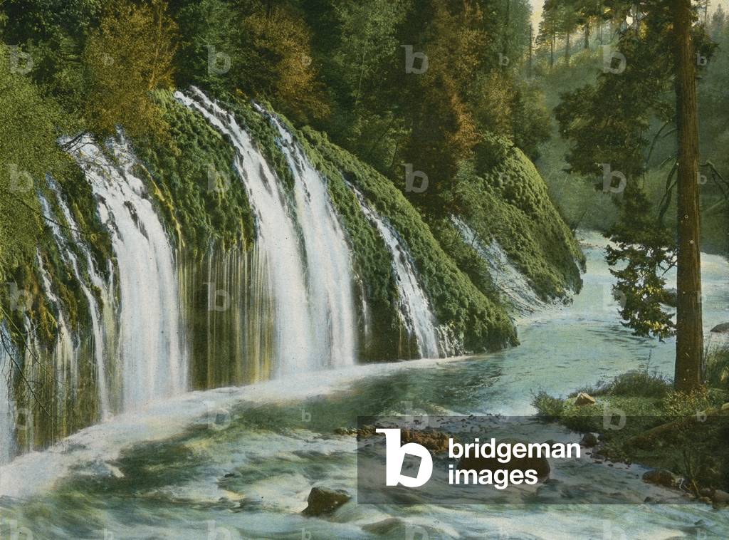 Mossbrae Falls at Shasta Springs (photo)