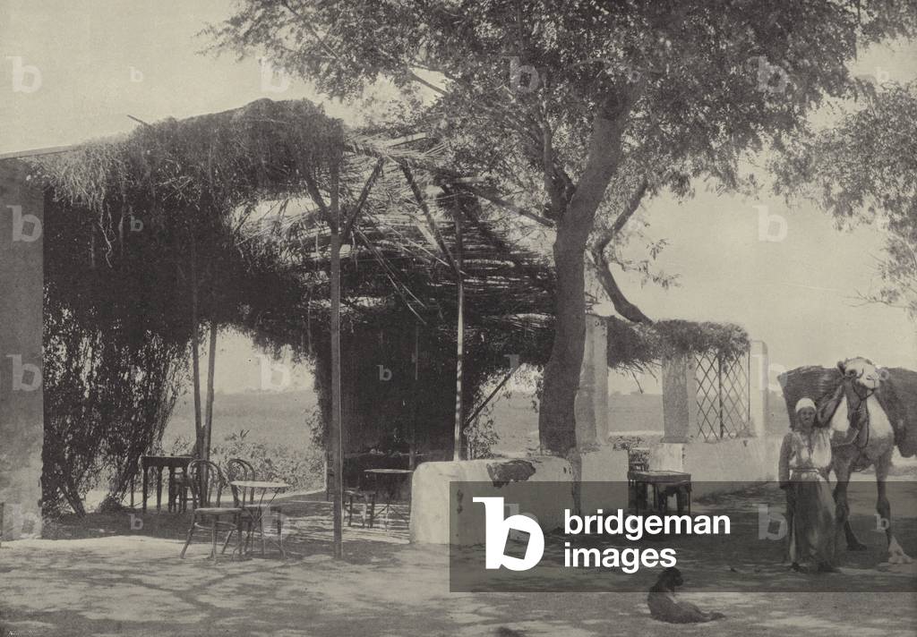 Coffee house in the Garden of the Virgin at Matariyeh, where Joseph lived (b/w photo)