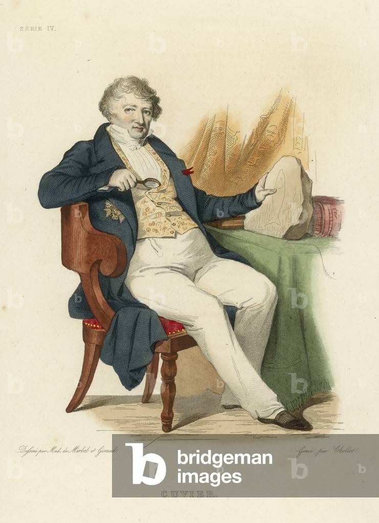 Cuvier (coloured engraving)