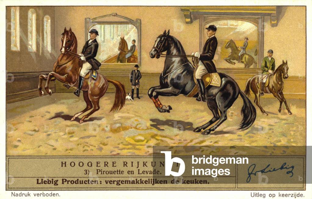 Dressage riders performing thepirouette and the levade (chromolitho)