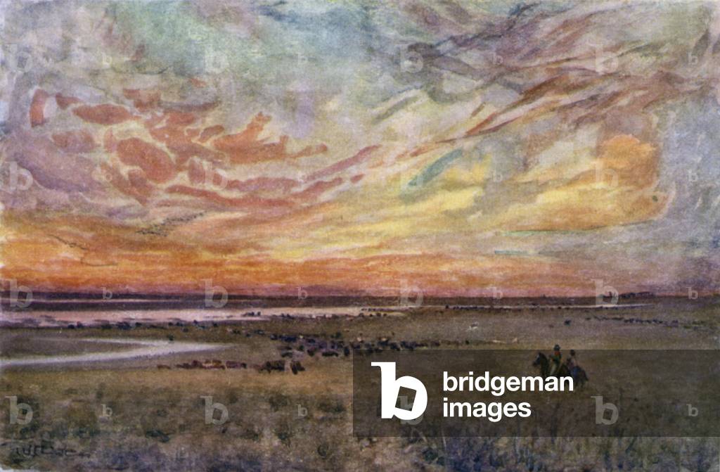 The Campo (colour litho)