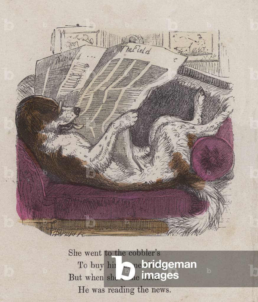 Dog reading The Field newspaper (coloured engraving)