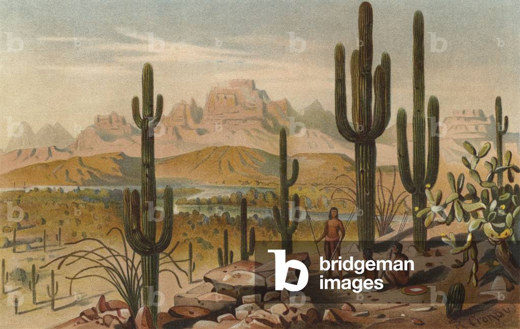 Cacti in the mountains of Utah, USA (colour litho)