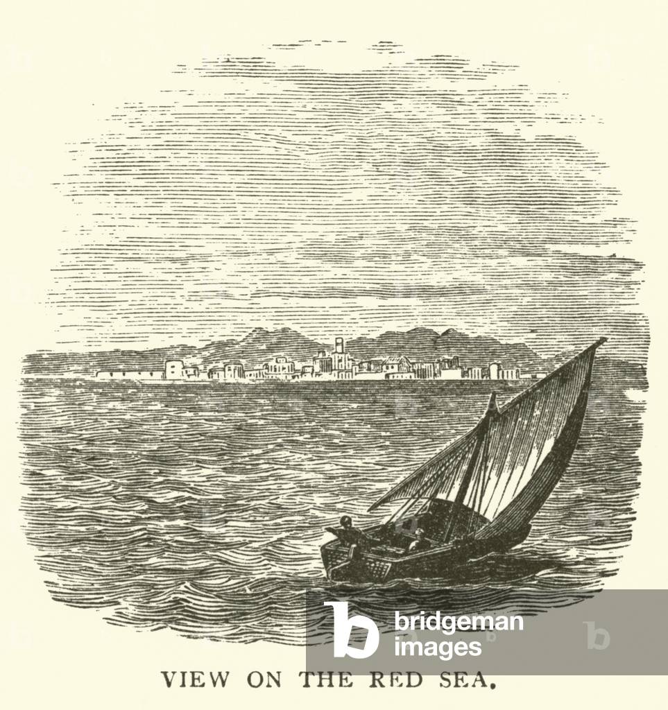 View on the Red Sea (engraving)