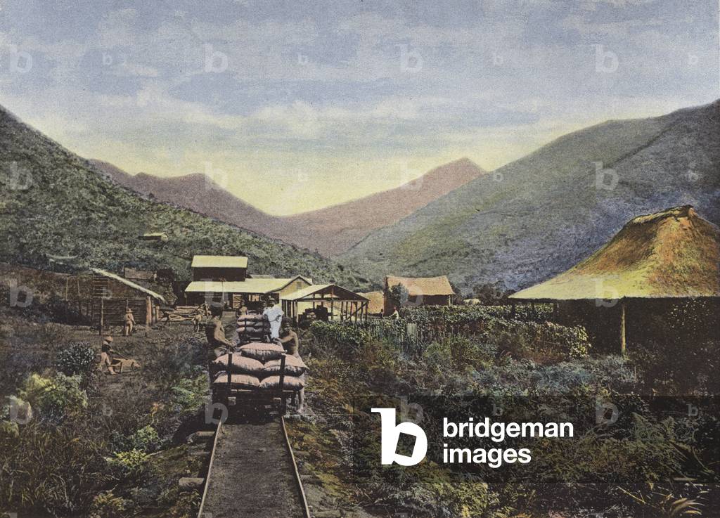 Mine De Cobalt (colour photo)