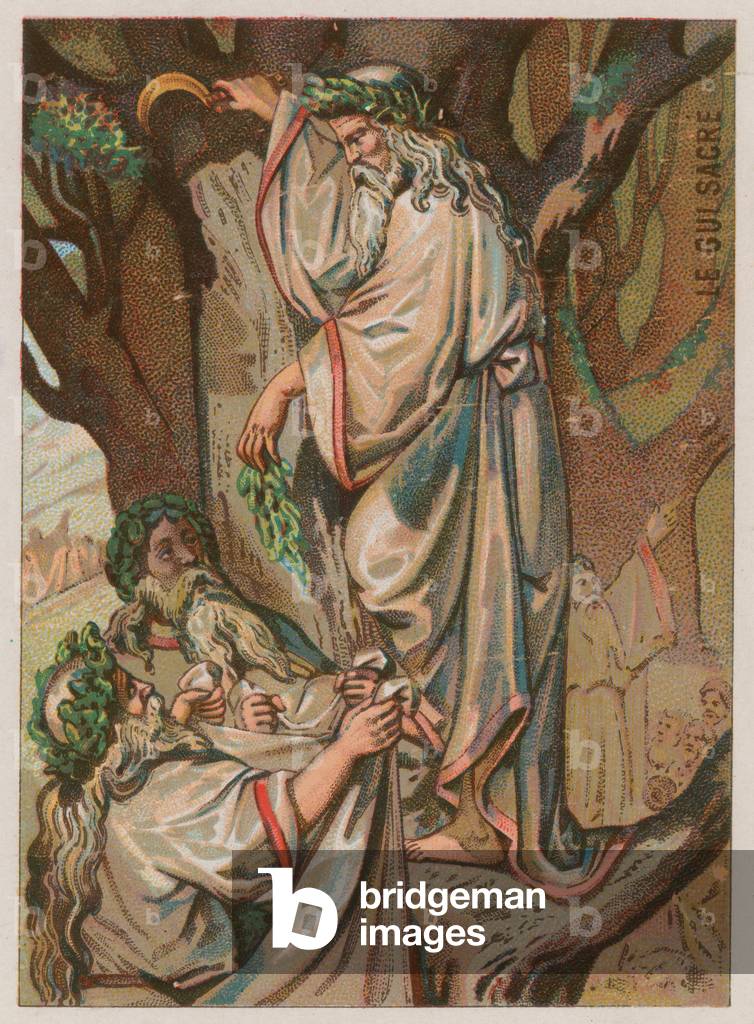 The Sacred Mistletoe (chromolitho)